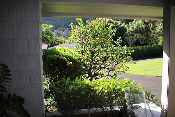 th IMG 8002 th IMG 8002