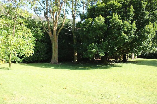 th IMG 8060 th IMG 8060