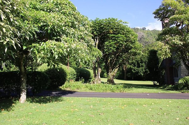 th IMG 7996 th IMG 7996