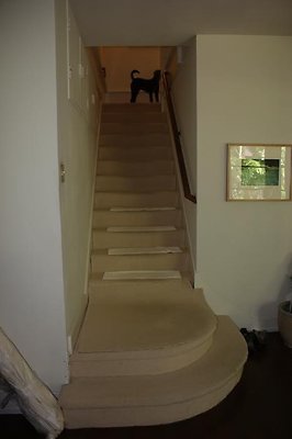 th IMG 8040 th IMG 8040