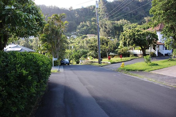 th IMG 8000 th IMG 8000