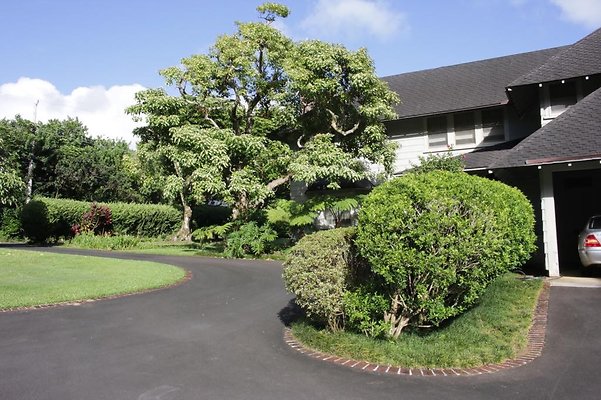 th IMG 8056 th IMG 8056