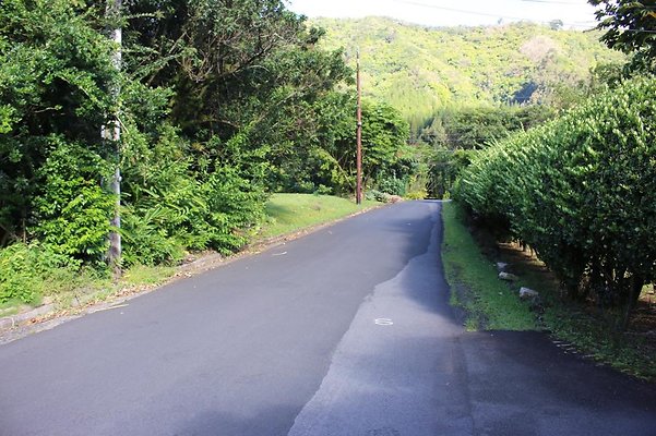 th IMG 8001 th IMG 8001