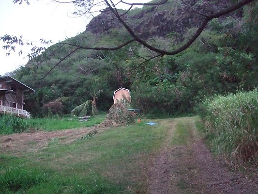 th DSCF0038 th DSCF0038