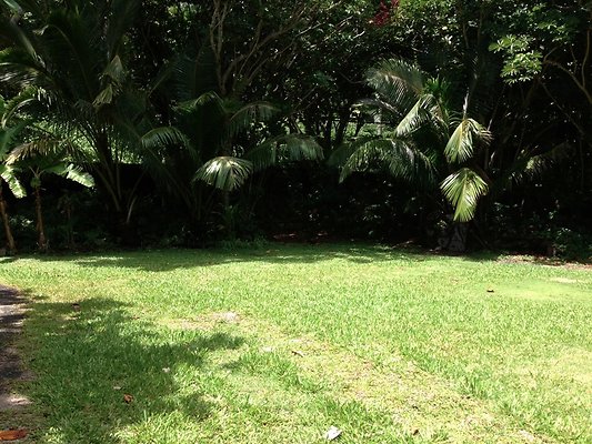 th photo 9 th photo 9