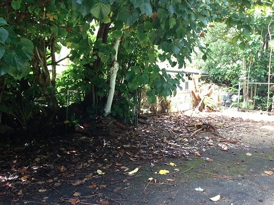 th photo 7 th photo 7