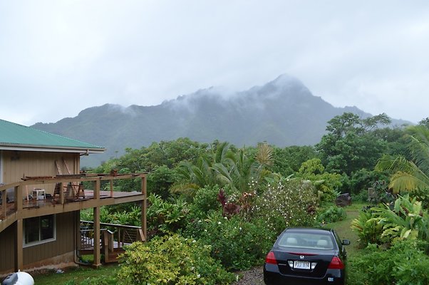 th DSC 0010 th DSC 0010