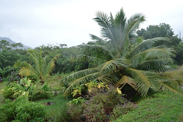 th DSC 0011 th DSC 0011