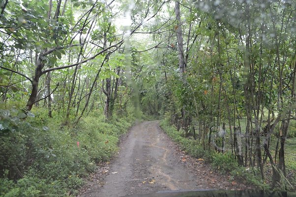 th DSC 0012 th DSC 0012