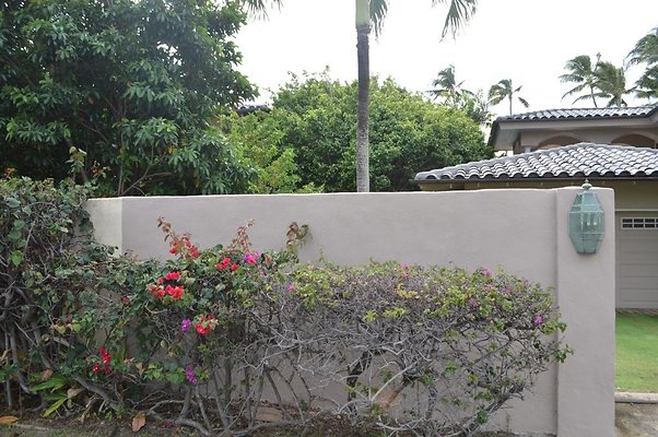 th DSC 0205 th DSC 0205