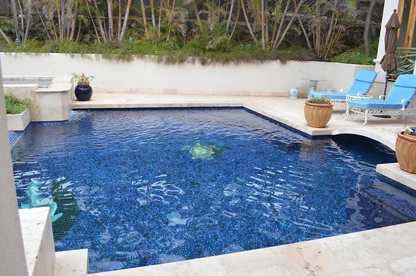 th DSC 0101 th DSC 0101