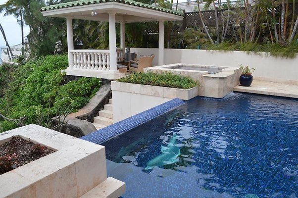 th DSC 0100 th DSC 0100