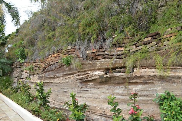 th DSC 0066 th DSC 0066