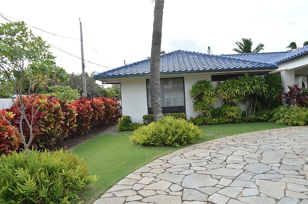 th DSC 0178 th DSC 0178