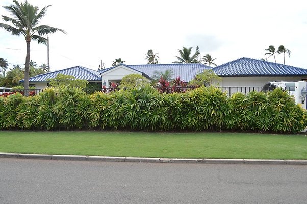 th DSC 0173 th DSC 0173