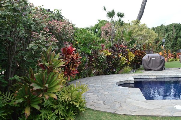 th DSC 0187 th DSC 0187