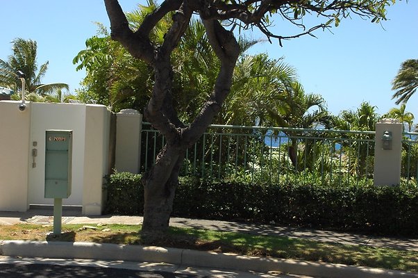 HI50 S6 DSC 5460 HI50 S6 DSC 5460