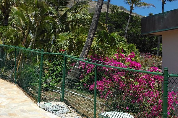 HI50 S6 DSC 5472 HI50 S6 DSC 5472