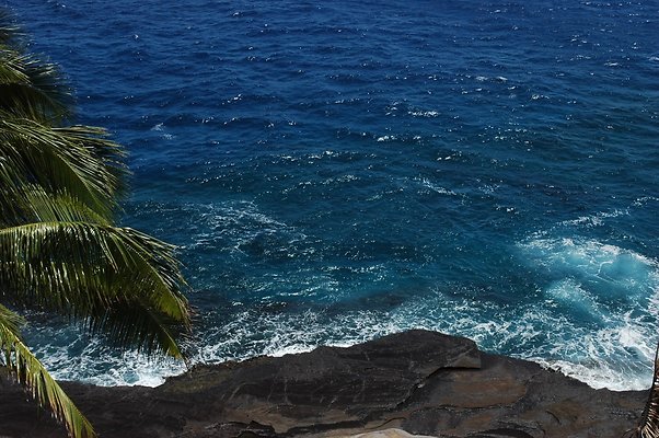 HI50 S6 DSC 5518 HI50 S6 DSC 5518