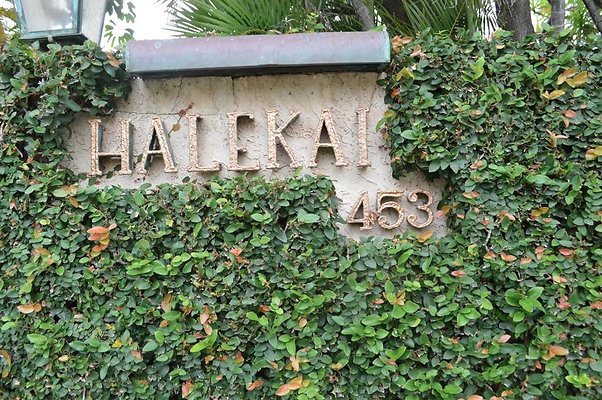 th DSC 0121 th DSC 0121