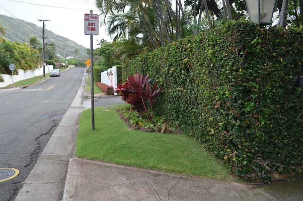 th DSC 0118 th DSC 0118