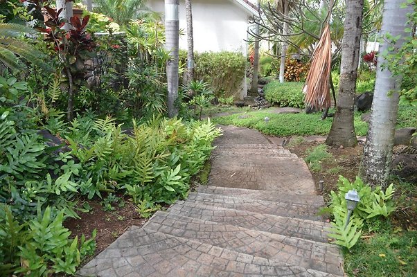 th DSC 0019 th DSC 0019