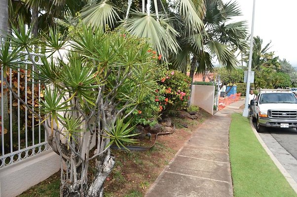 th DSC 0017 th DSC 0017