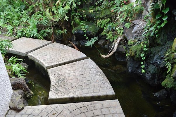 th DSC 0025 th DSC 0025