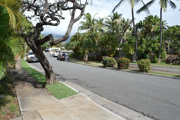 th DSC 0009 th DSC 0009