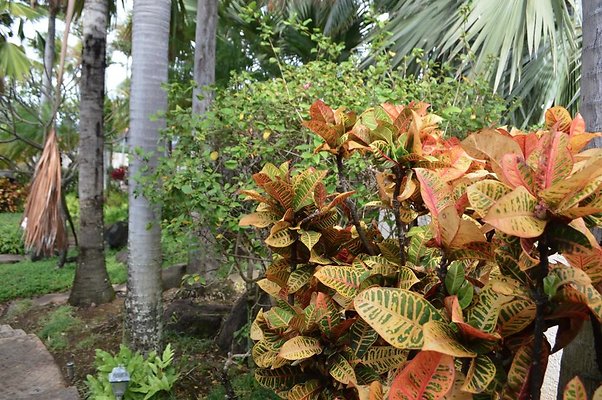 th DSC 0020 th DSC 0020