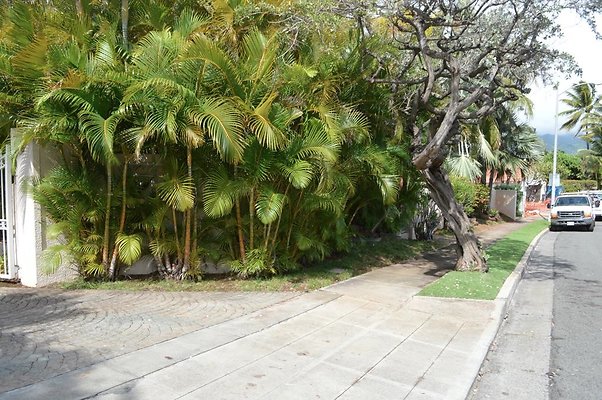 th DSC 0008 th DSC 0008