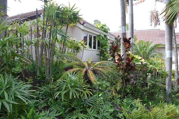 th DSC 0018 th DSC 0018