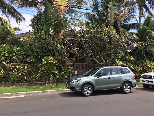 Portlock 266 Portlock Road Left Tag 2.22.2017 Portlock 266 Portlock Road Left Tag 2.22.2017