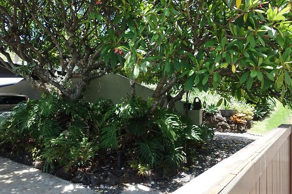 th DSC01753 th DSC01753