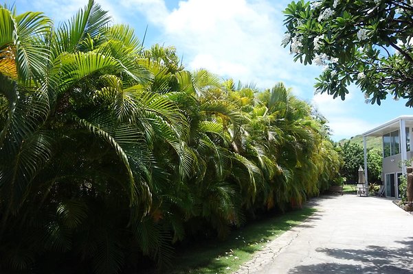 th DSC01751 th DSC01751