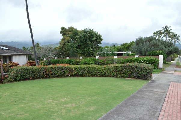 th DSC 0245 th DSC 0245