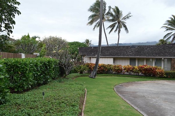 th DSC 0237 th DSC 0237