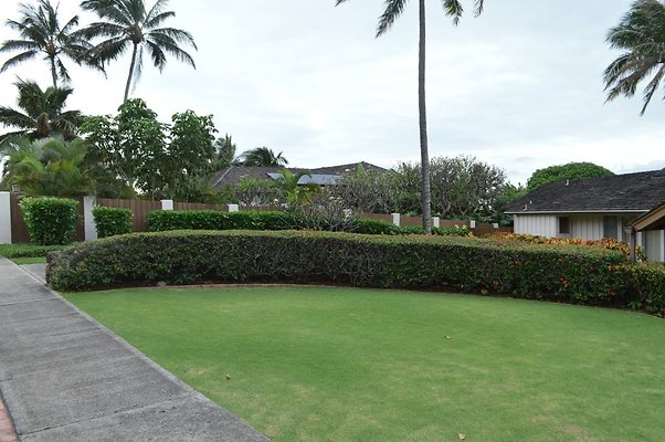 th DSC 0243 th DSC 0243