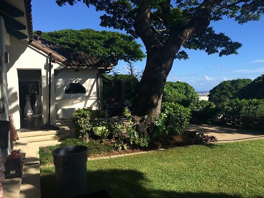 th IMG 9896 th IMG 9896