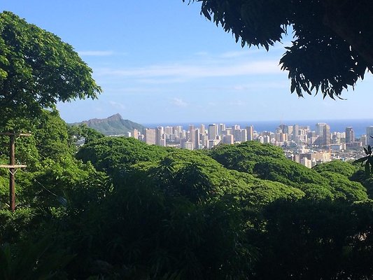 th IMG 9906 th IMG 9906