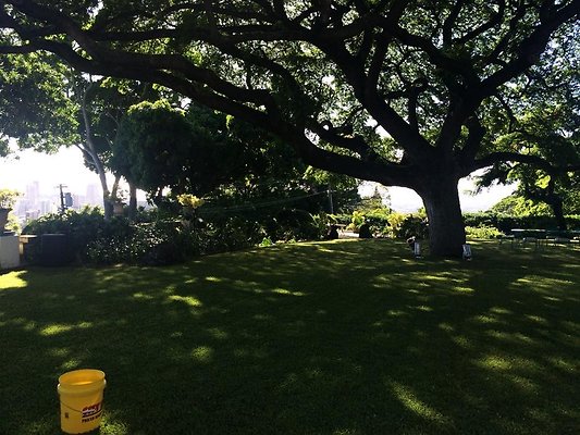 th IMG 9899 th IMG 9899