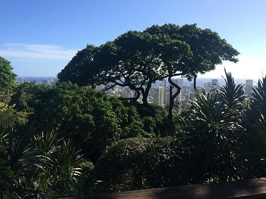 th IMG 9890 th IMG 9890