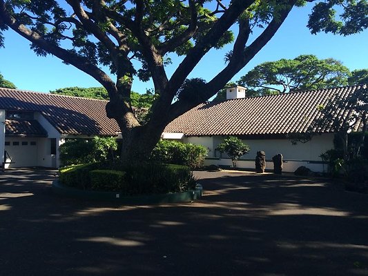 th IMG 9879 th IMG 9879