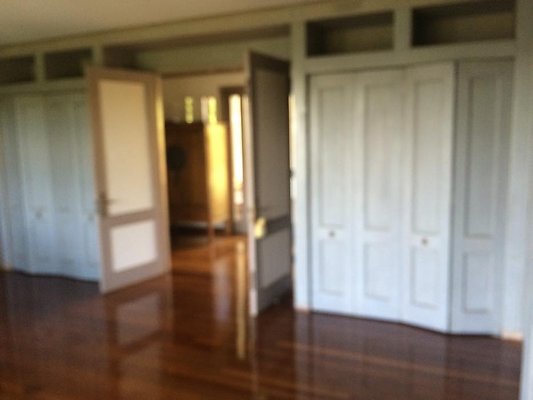 th IMG 9928 th IMG 9928