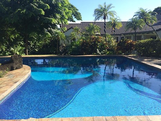 th IMG 9940 th IMG 9940