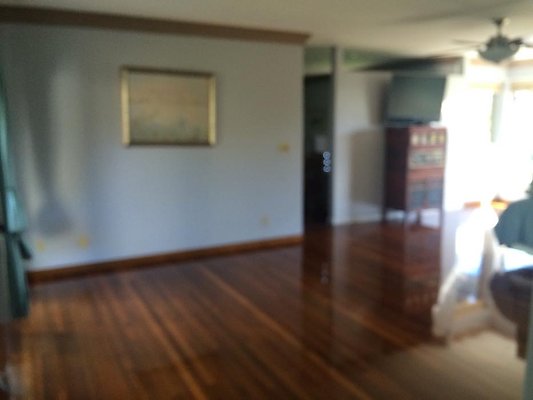 th IMG 9929 th IMG 9929