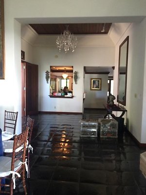 th IMG 9917 th IMG 9917