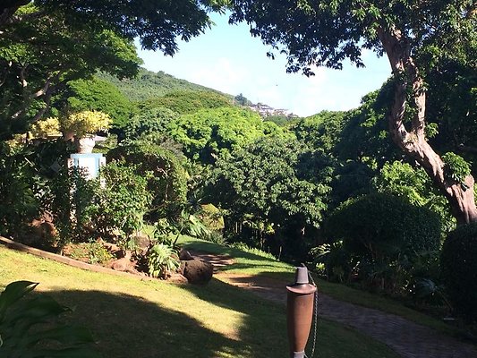 th IMG 9910 th IMG 9910