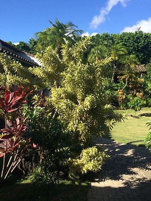 th IMG 9933 th IMG 9933