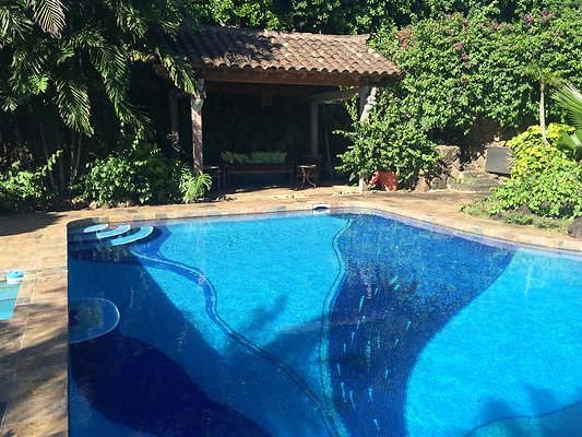 th IMG 9937 th IMG 9937